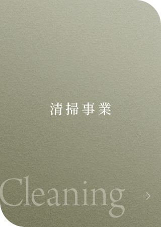 bnrmany_cleaning_off